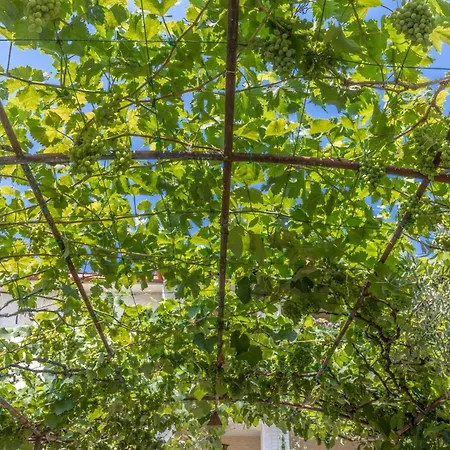 Palman With Free Parking