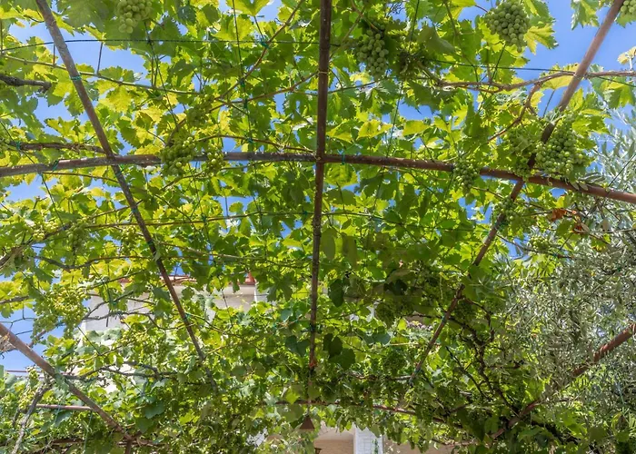 Palman With Free Parking